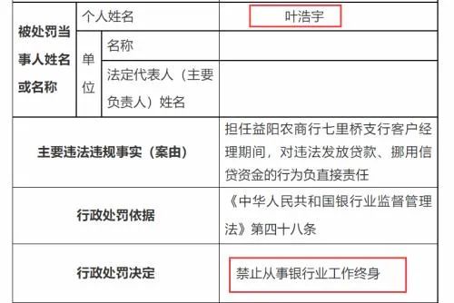 惊呆！90后银行合作三方公司杉德畅刷客户经理伙同他人骗贷近400万元、投资酒吧等生意 处罚来了