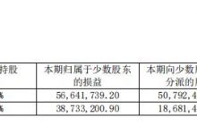 杉德畅刷整理：凯盛科技：重要非全资子公司均有高管持股，其盈利能力远高于上市公司