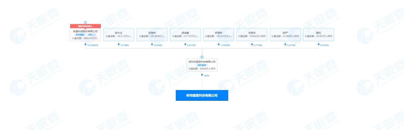 凯盛科技：重要非全资子公司均有高管持股，其盈利能力远高于上市公司