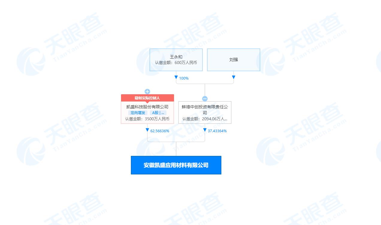 凯盛科技：重要非全资子公司均有高管持股，其盈利能力远高于上市公司